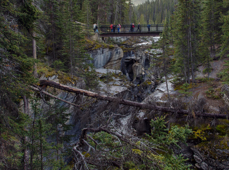 One of the most beautiful roads in the world - Icefields Parkway, Alberta, Canada - My, Canada, Alberta, Road, Travels, Wild animals, Lake, The mountains, Rocky Mountains, Longpost