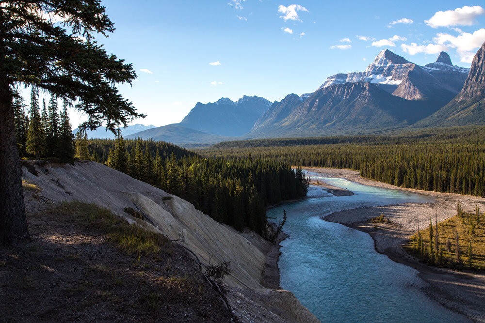 One of the most beautiful roads in the world - Icefields Parkway, Alberta, Canada - My, Canada, Alberta, Road, Travels, Wild animals, Lake, The mountains, Rocky Mountains, Longpost