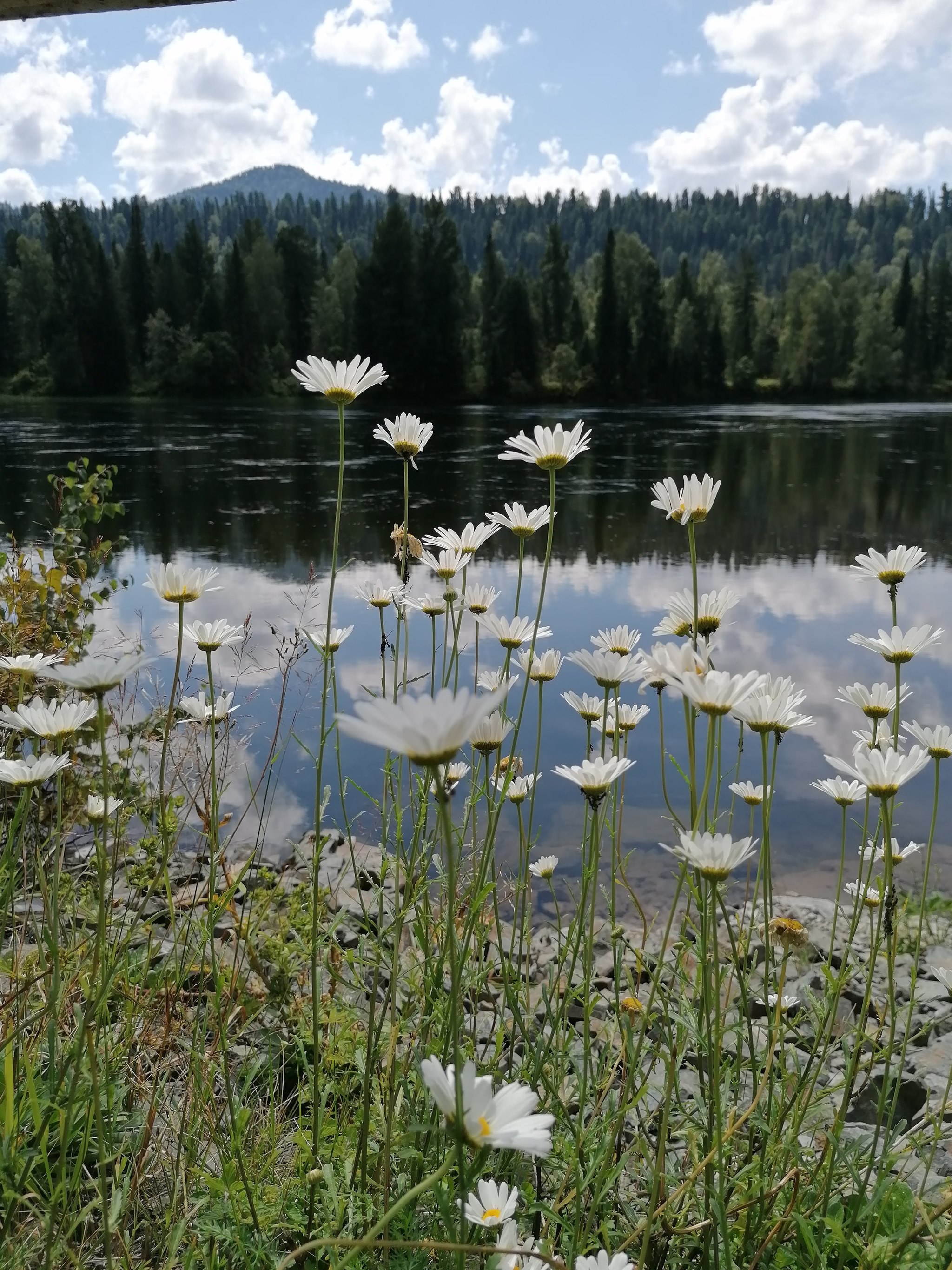 Altai Republic. Altai region - My, Altai Republic, Katun, Devil's finger, Altai region, Teletskoe lake, Longpost