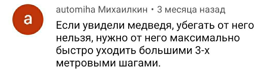 О встречах с медведем - Бурые медведи, Комментарии, Длиннопост, Медведи, Скриншот