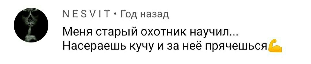 О встречах с медведем - Бурые медведи, Комментарии, Длиннопост, Медведи, Скриншот