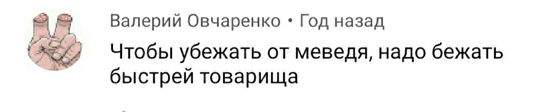 О встречах с медведем - Бурые медведи, Комментарии, Длиннопост, Медведи, Скриншот