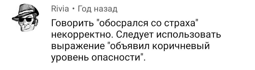 О встречах с медведем - Бурые медведи, Комментарии, Длиннопост, Медведи, Скриншот