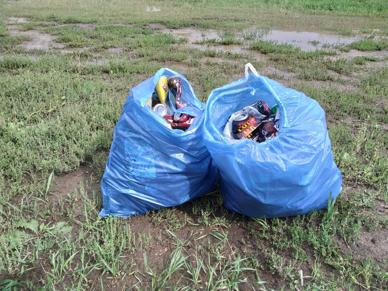 How much can you earn by collecting aluminum cans? - My, Chistoman, Pure Man's League, Separate garbage collection, Saturday clean-up, Longpost, Recyclable materials