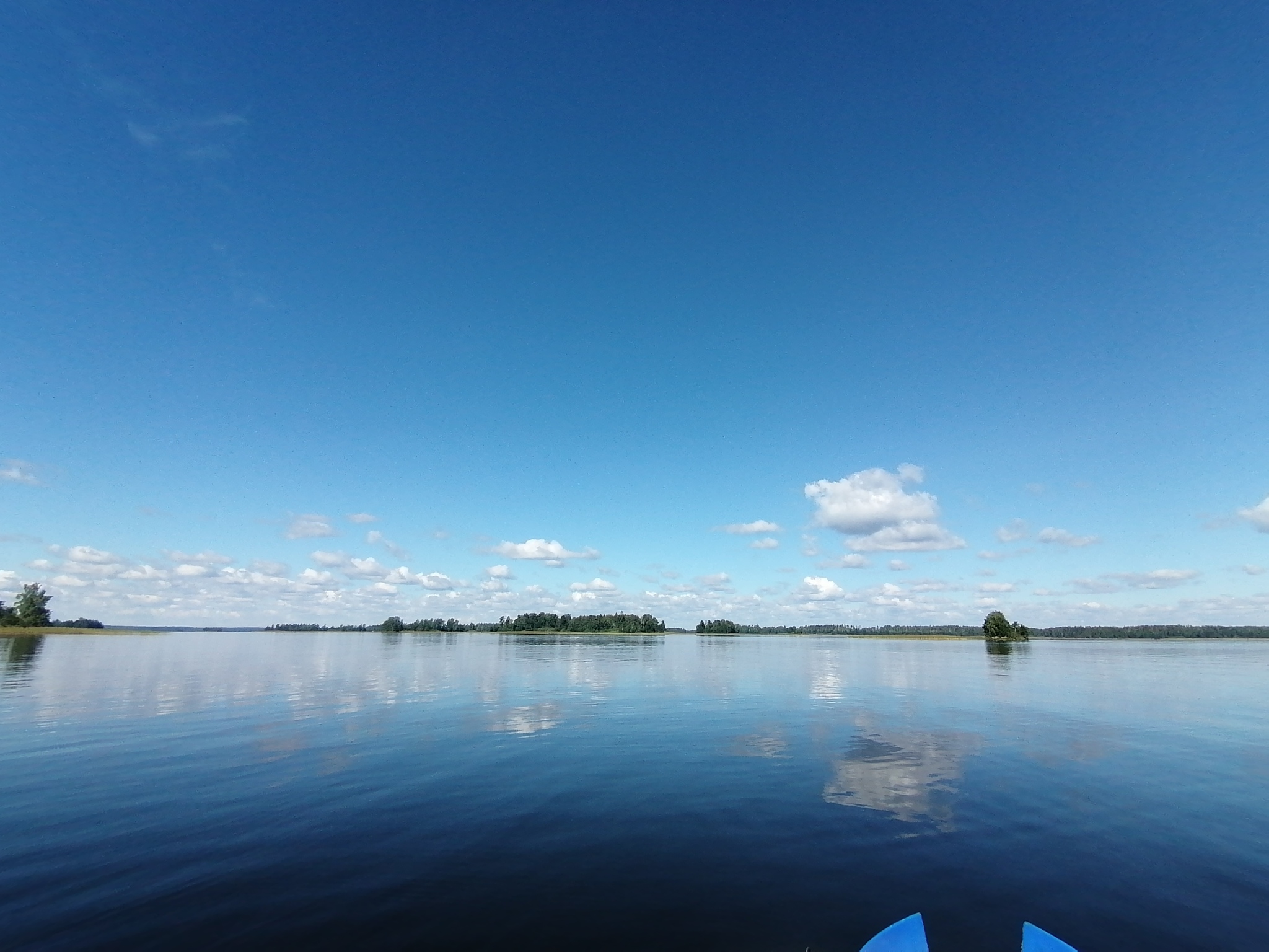 Lake Vuoksa - My, Leningrad region, Lake Vuoksi, Mushrooms, Longpost, The photo