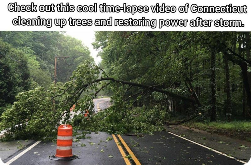 Beautiful trolling of the authorities - Trolling, Таймлапс, Hurricane, Connecticut, Tree, Road, Inaction of the authorities, Picture with text