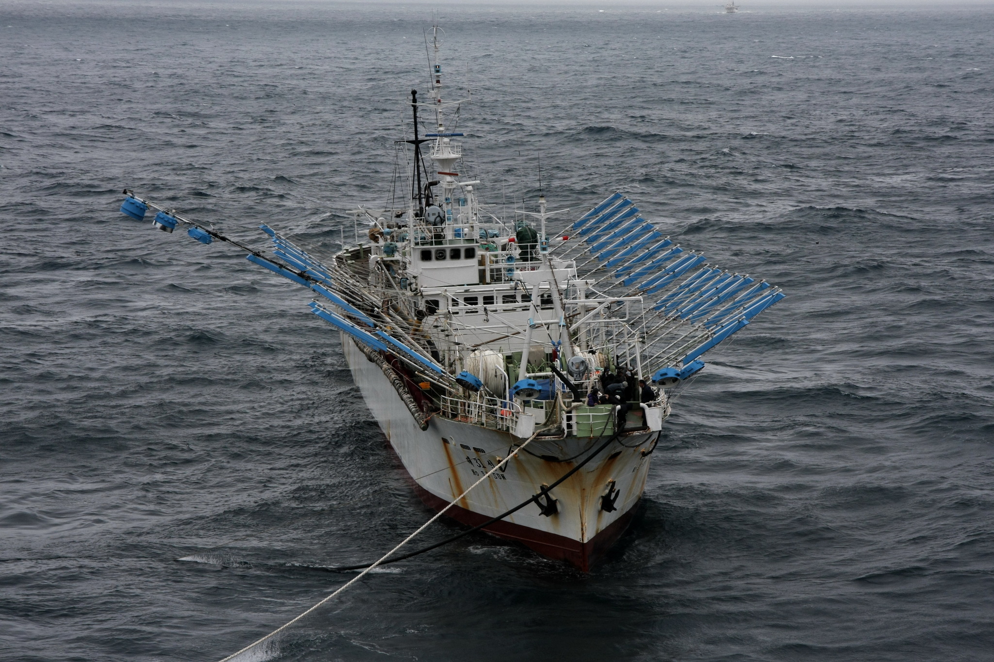 Sea locust - My, Tanker, Fishermen, Squid, Work at sea, The photo, Longpost