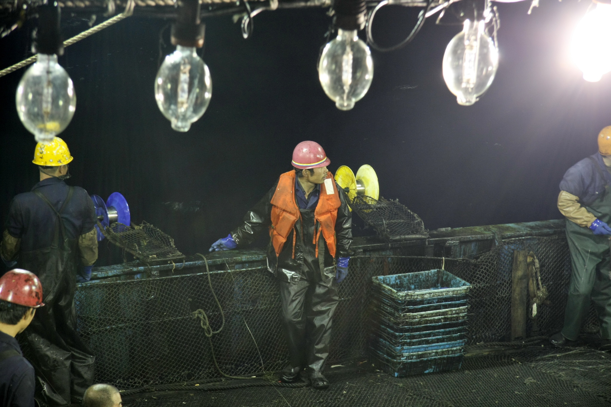 Sea locust. Continuation - My, Work at sea, Fishermen, Squid, Longpost, The photo