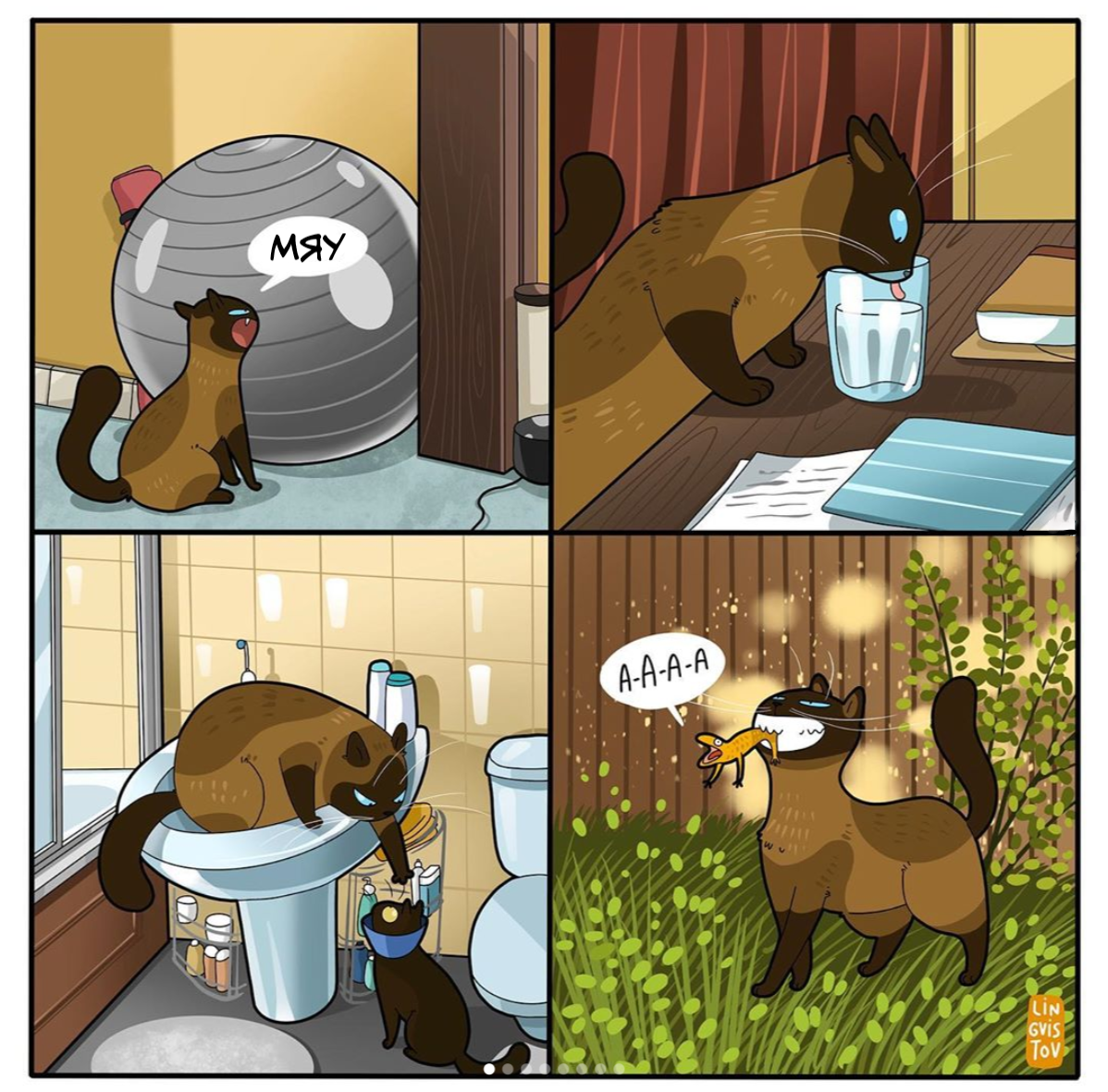 From the life of cats #4 - Comics, Lingvistov, cat, Longpost