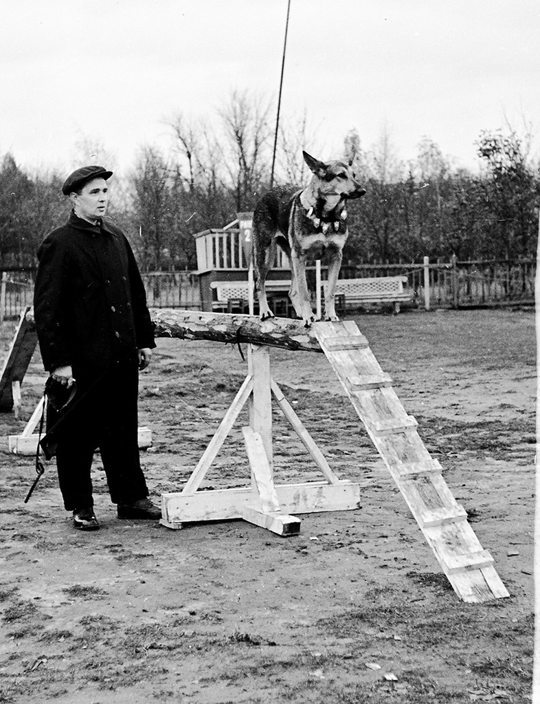 History of the USSR in photographs No. 140 - Story, The photo, A selection, Retro, the USSR, Black and white photo, Longpost