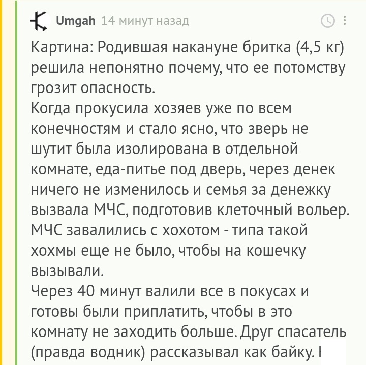 Убивай, если дети в опасности - Комментарии на Пикабу, Кот, МЧС