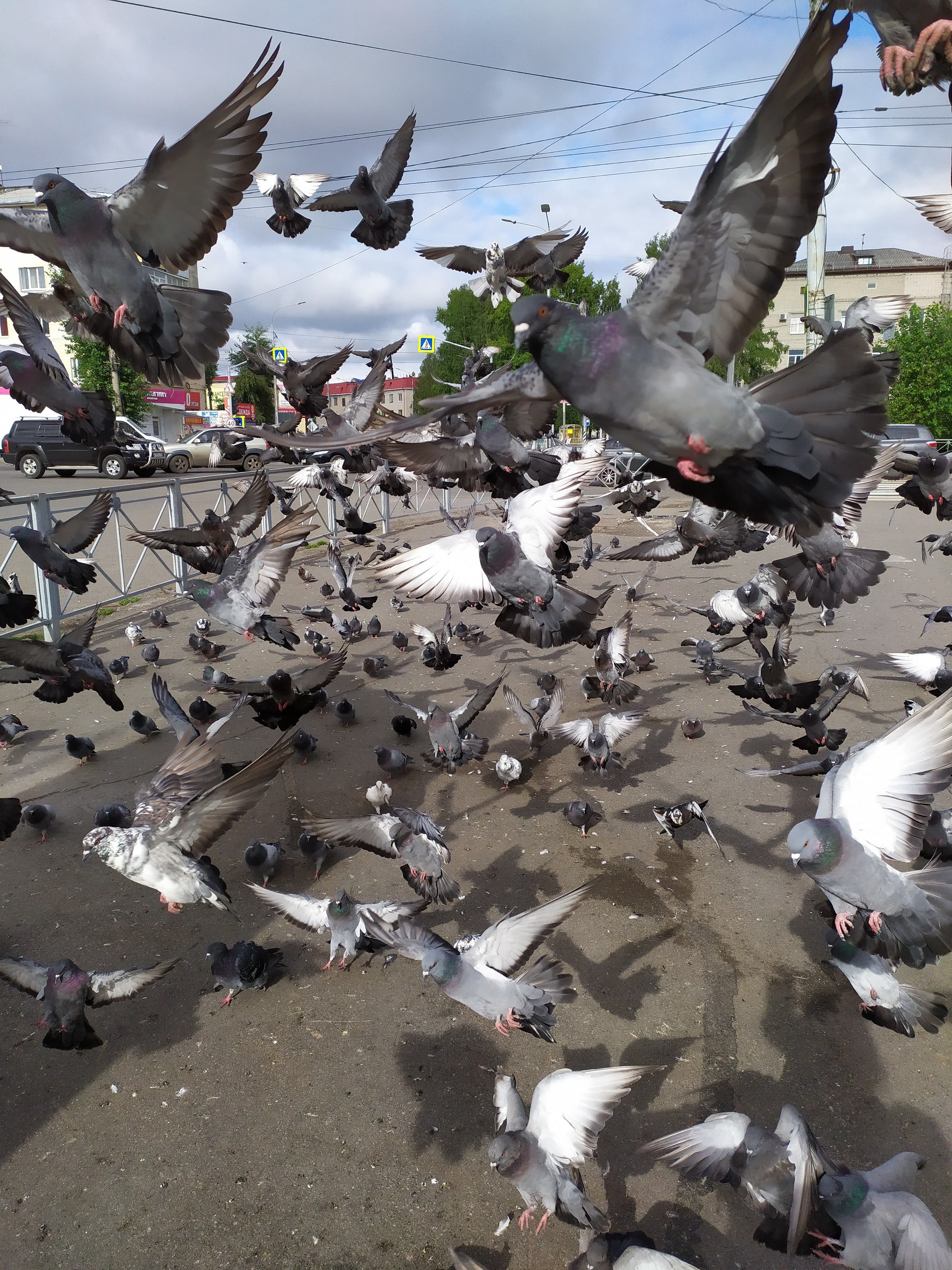 Когда зашёл в чужой район | Пикабу