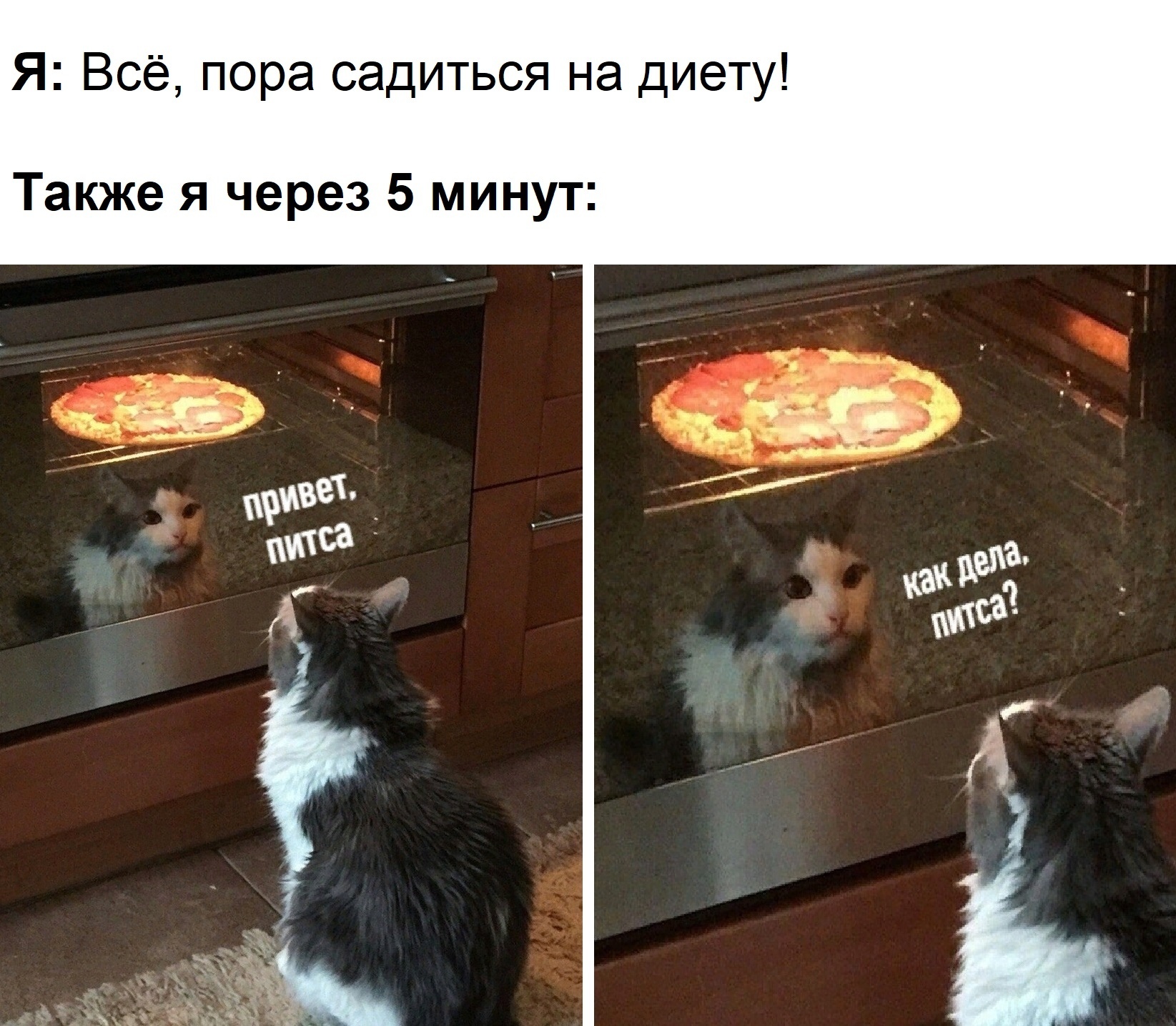 And so every time - Food, Picture with text, cat, Diet