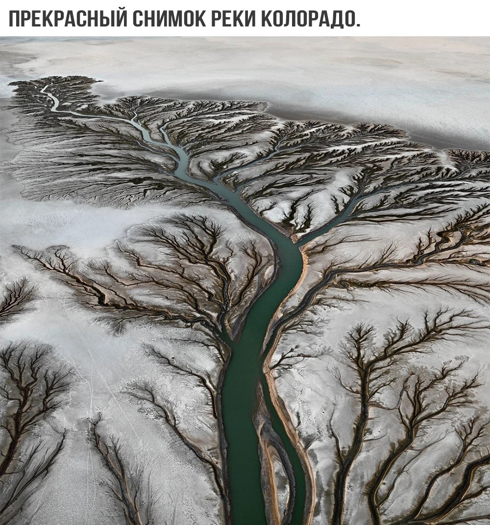 Incredible view of the river delta - Nature, View, Landscape, beauty, River, Colorado