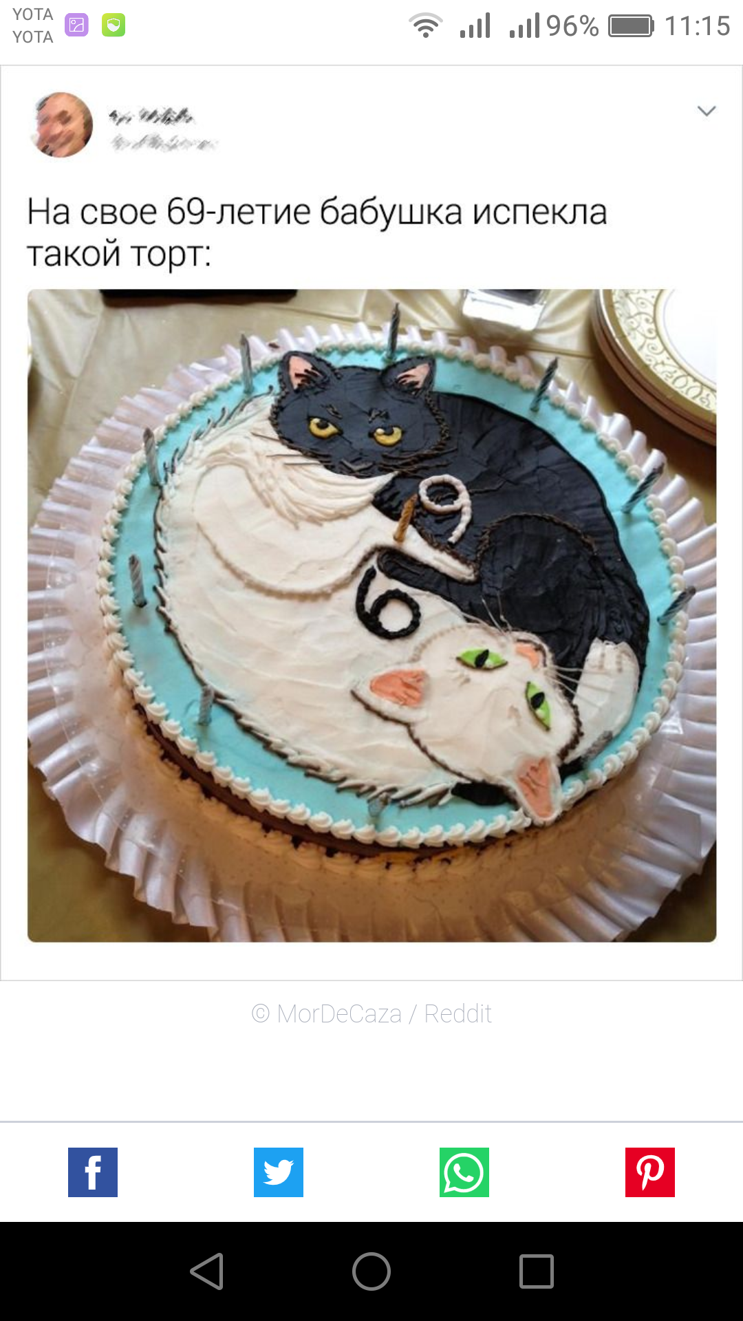 Grandma's cake - Reddit, cat, Yin Yang, Cake, Screenshot, 69