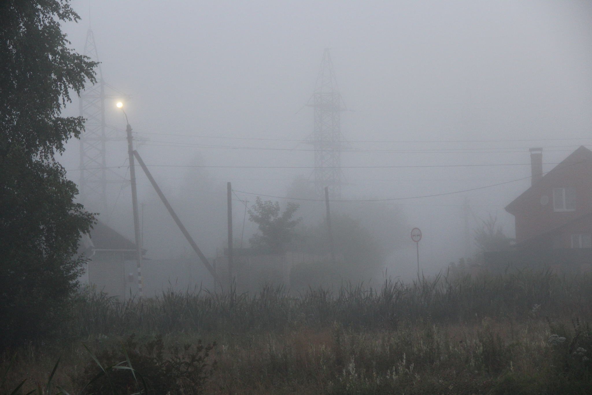 Just a photo - My, The photo, Nature, Fog, beauty, Atmospheric, Longpost