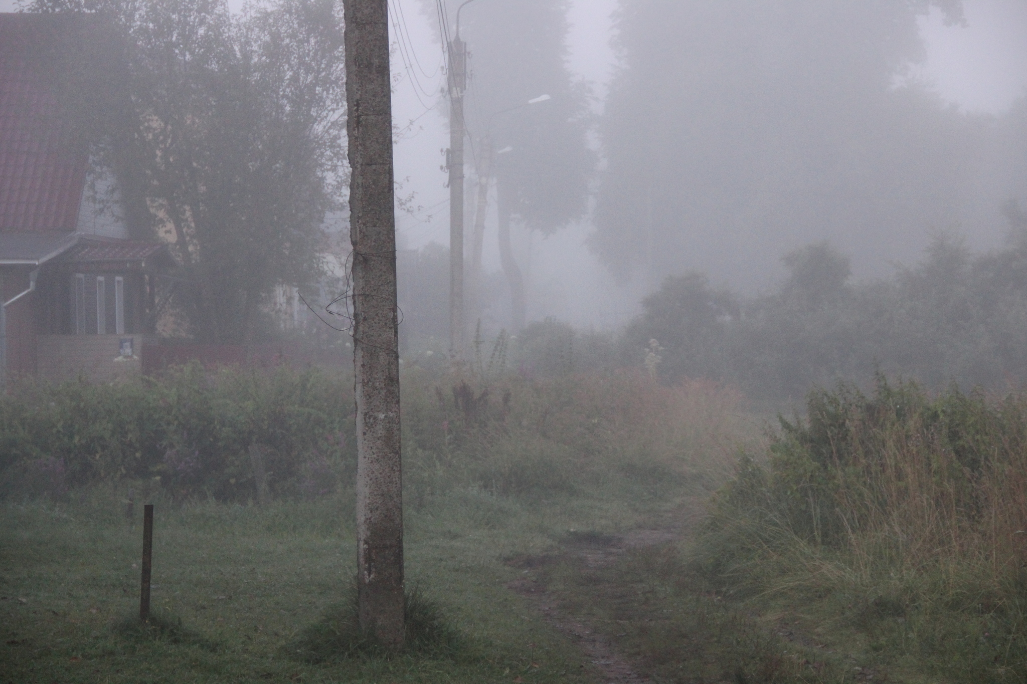 Just a photo - My, The photo, Nature, Fog, beauty, Atmospheric, Longpost