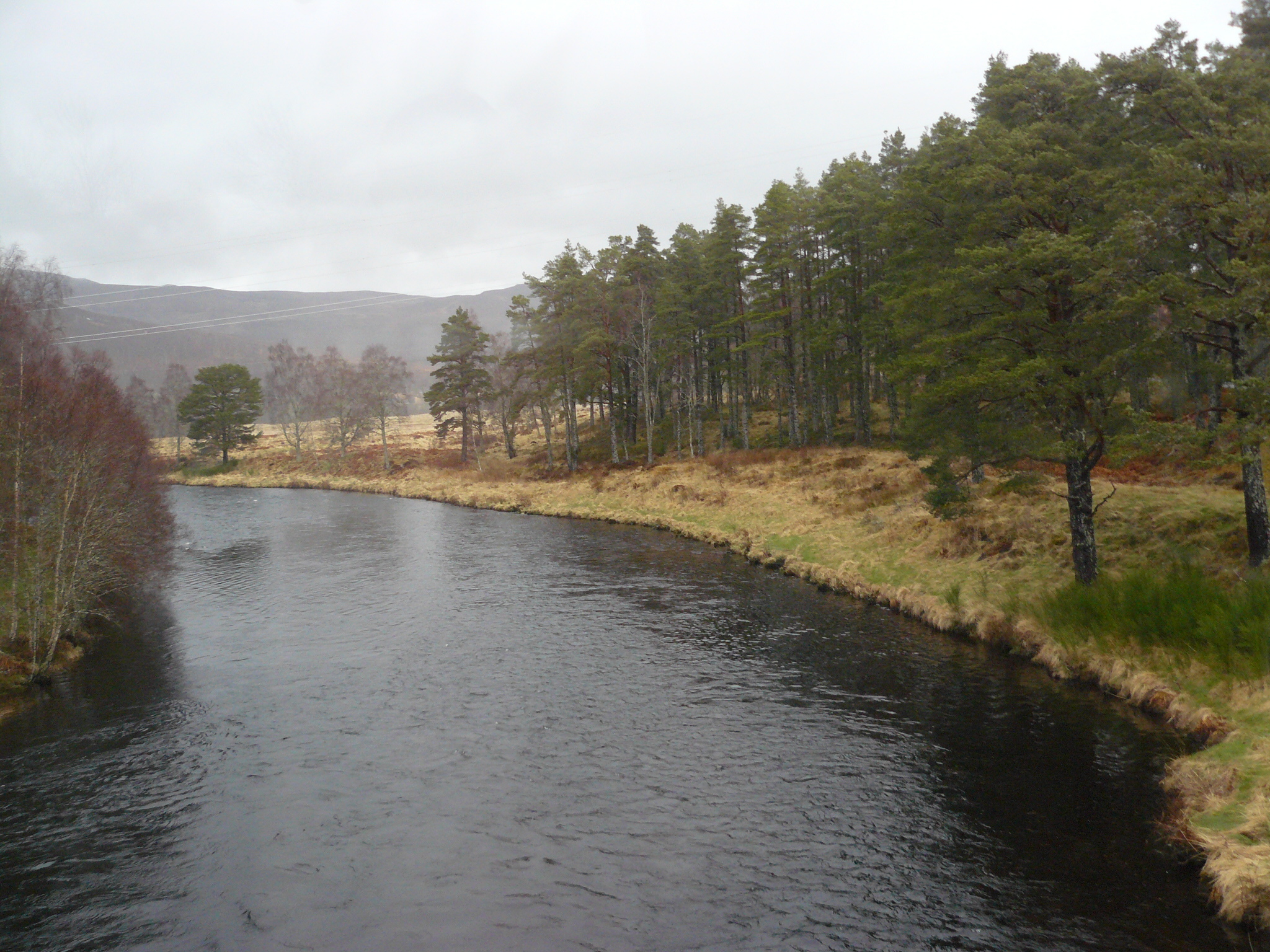 Nature of Scotland from the window of a tourist bus - My, Great Britain, Scotland, Nature, View, Travels, Longpost