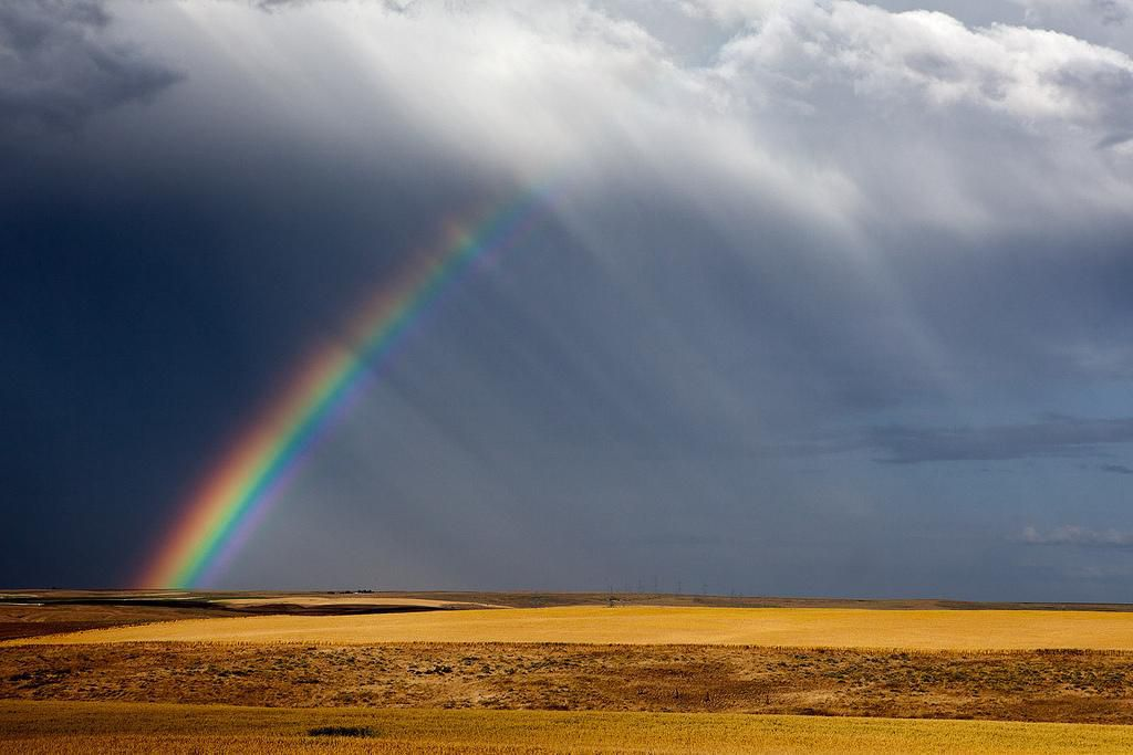 Rainbow | Пикабу