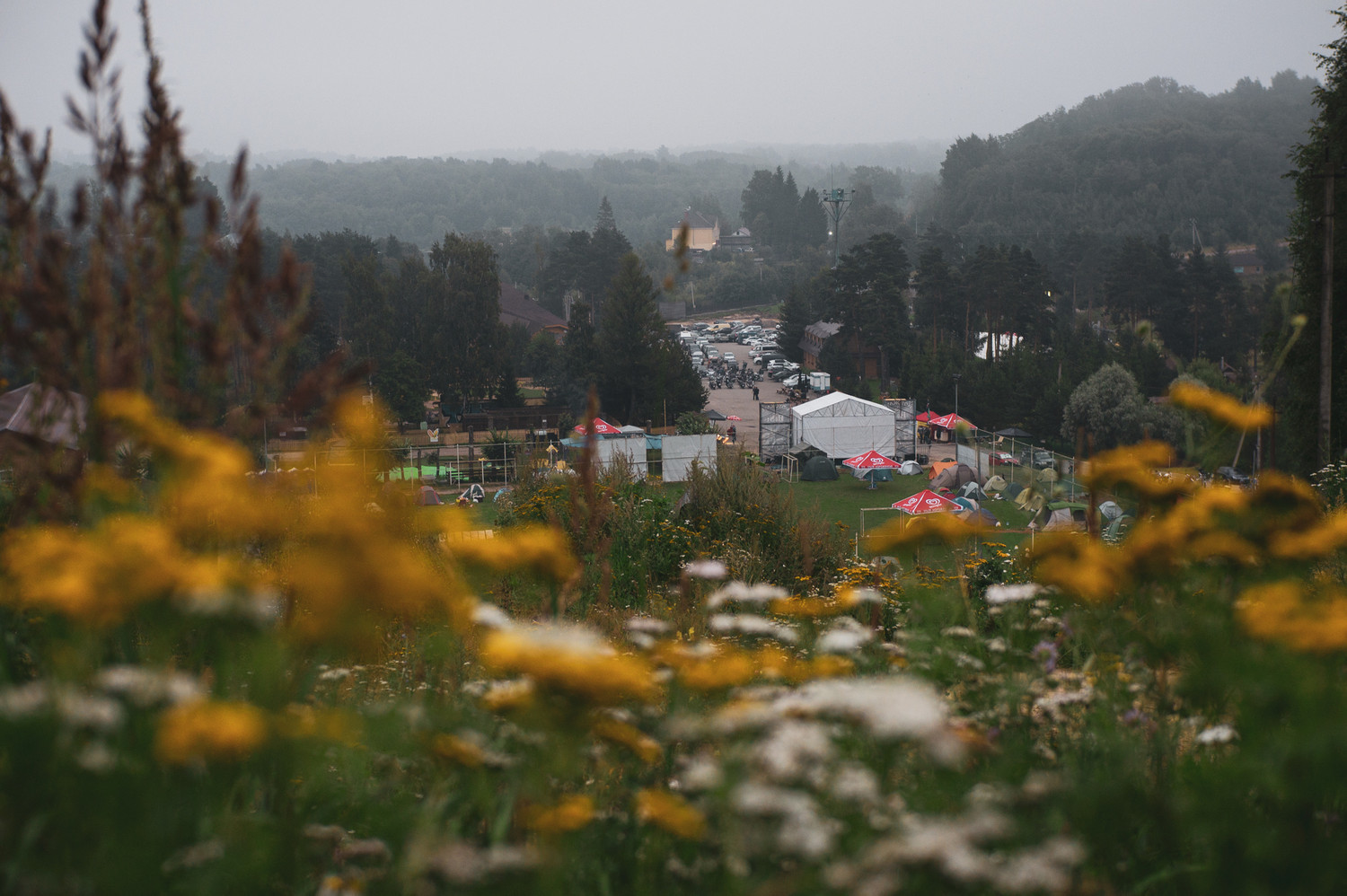 Stopped by the “Host-bike-fest” - My, The photo, The festival, Motorcyclists, Nature, Rock, Party, Mat, Longpost