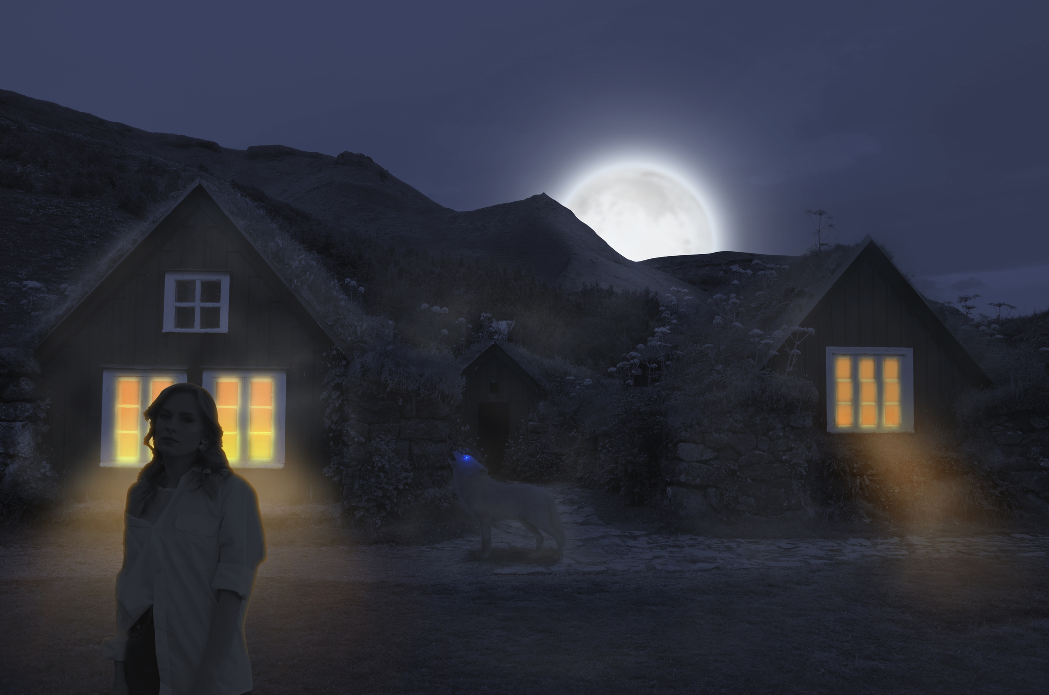 I'm trying to draw light - My, Photoshop Low skill, Photoshop, Wolf, Village