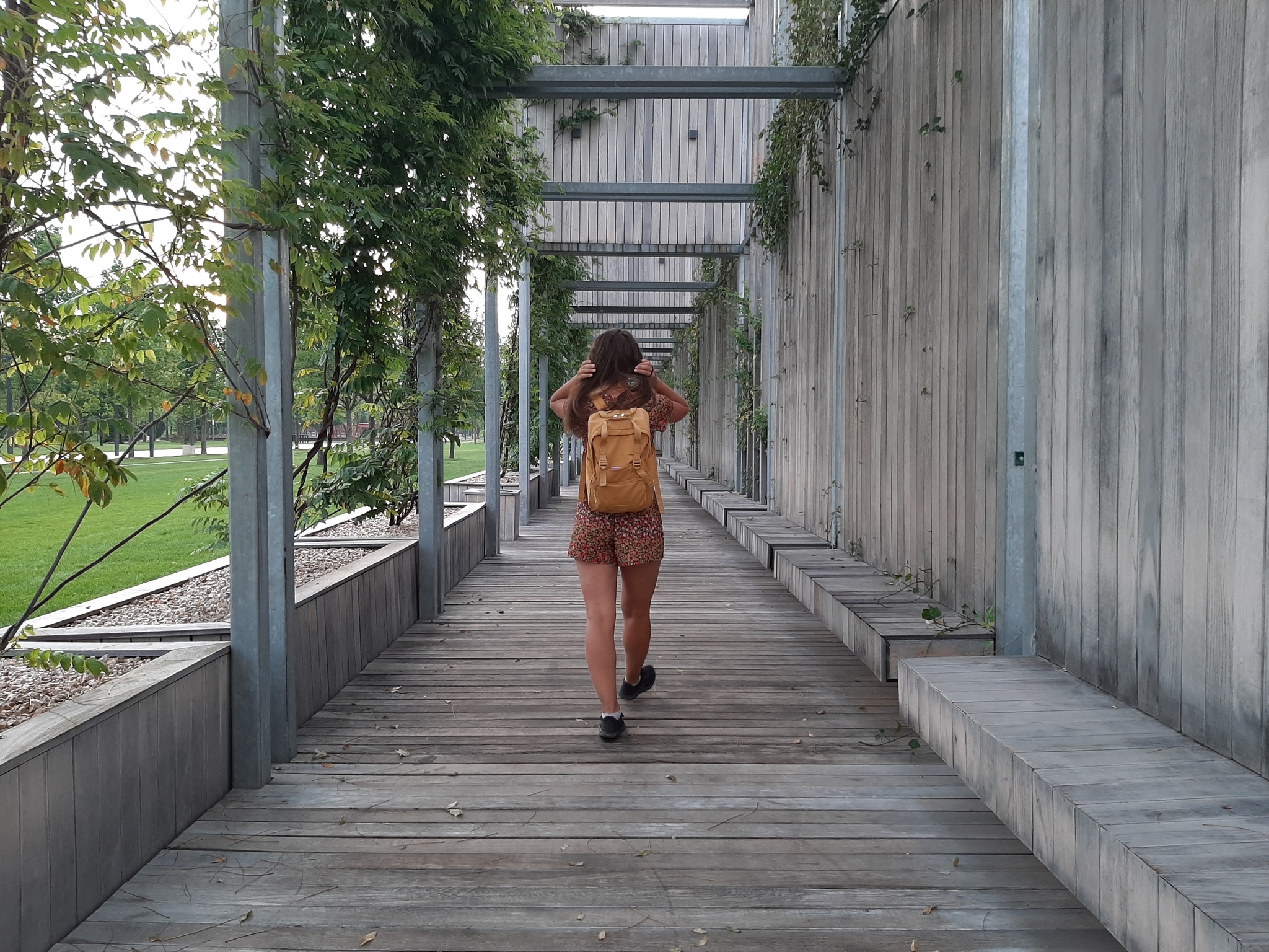 Quarantine travel - Day 56. Galitsky Park and a little bit of Krasnodar at night - My, Travel across Russia, Krasnodar, Budget travel, Galitsky Park, Longpost