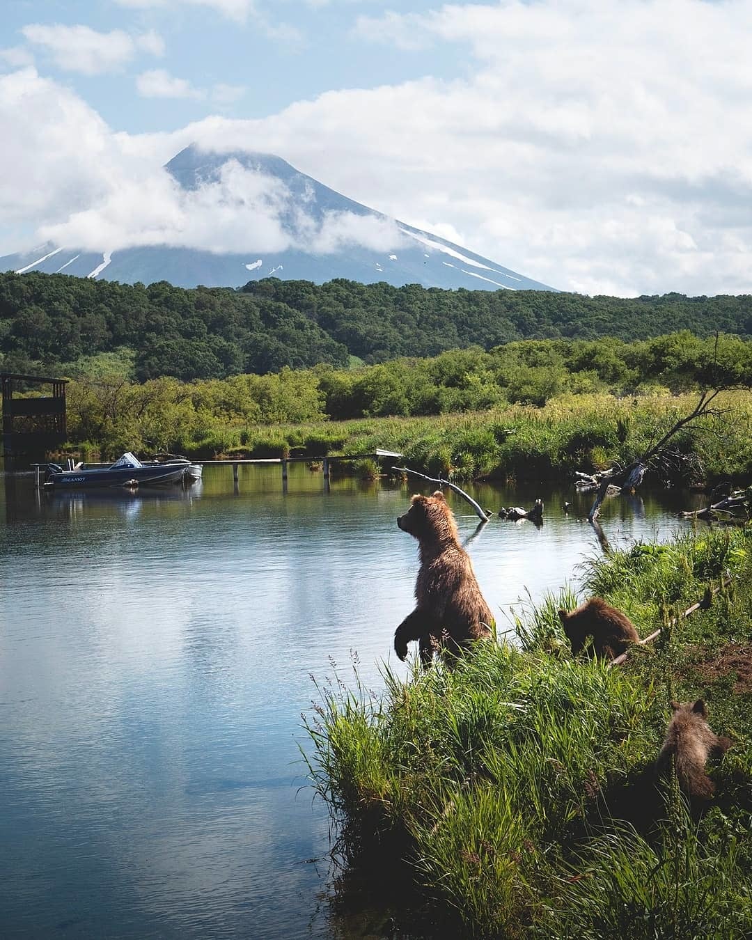 Kuril Lake, Kamchatka - Kamchatka, The photo, Russia, The Bears, Nature, Longpost