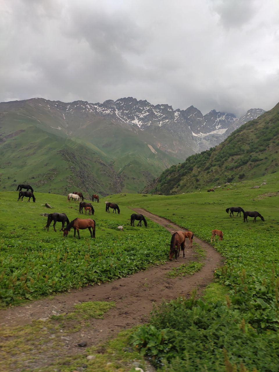 верхняя балкария горы