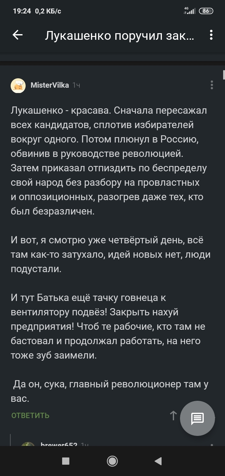 Главный Революционер - Юмор, Политика, Республика Беларусь, Комментарии на Пикабу, Длиннопост, Протесты в Беларуси, Мат, Скриншот