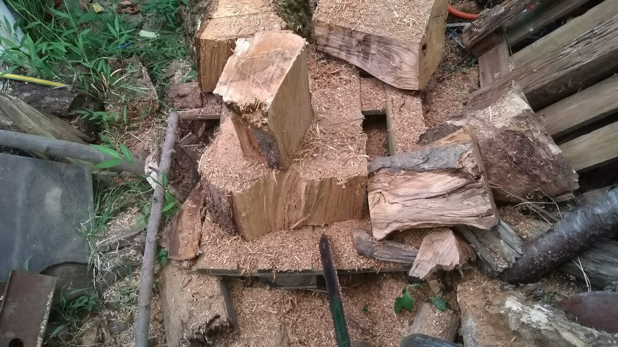 Bowl made from oak rhizomes - My, Longpost, Wood products, With your own hands, Needlework with process