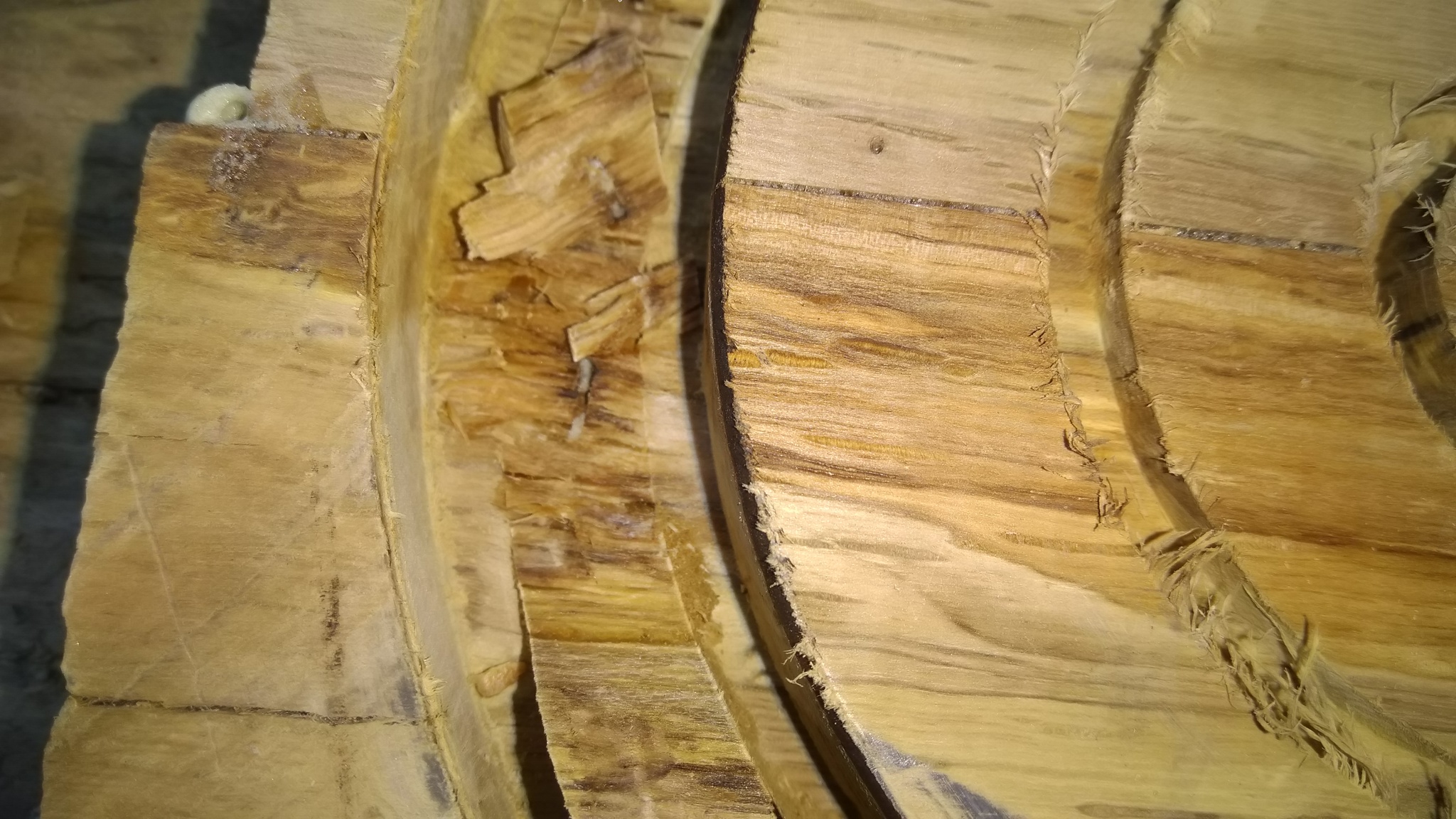 Bowl made from oak rhizomes - My, Longpost, Wood products, With your own hands, Needlework with process