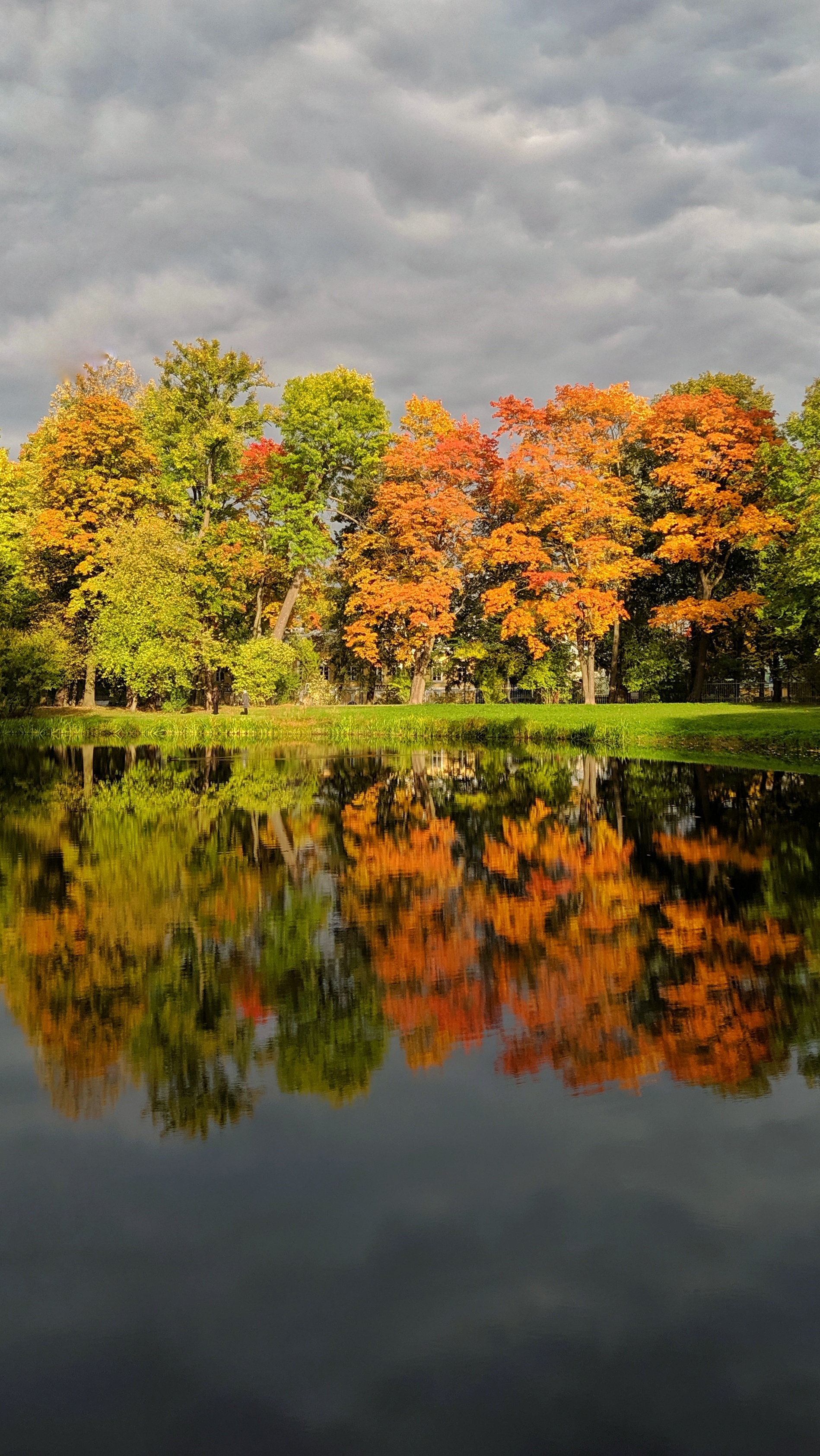 Photo with reflection - My, Reflection, Autumn, Landscape, Nature, Nikon, Nokia, Longpost