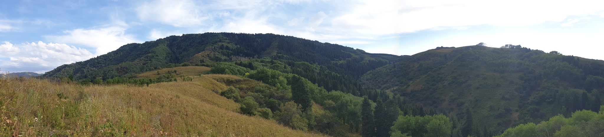 Mountains - My, Almaty mountains, Turgen, beauty of nature, Kazakhstan, Nature, Longpost