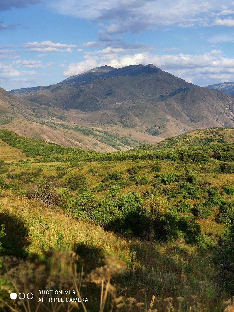 Mountains - My, Almaty mountains, Turgen, beauty of nature, Kazakhstan, Nature, Longpost