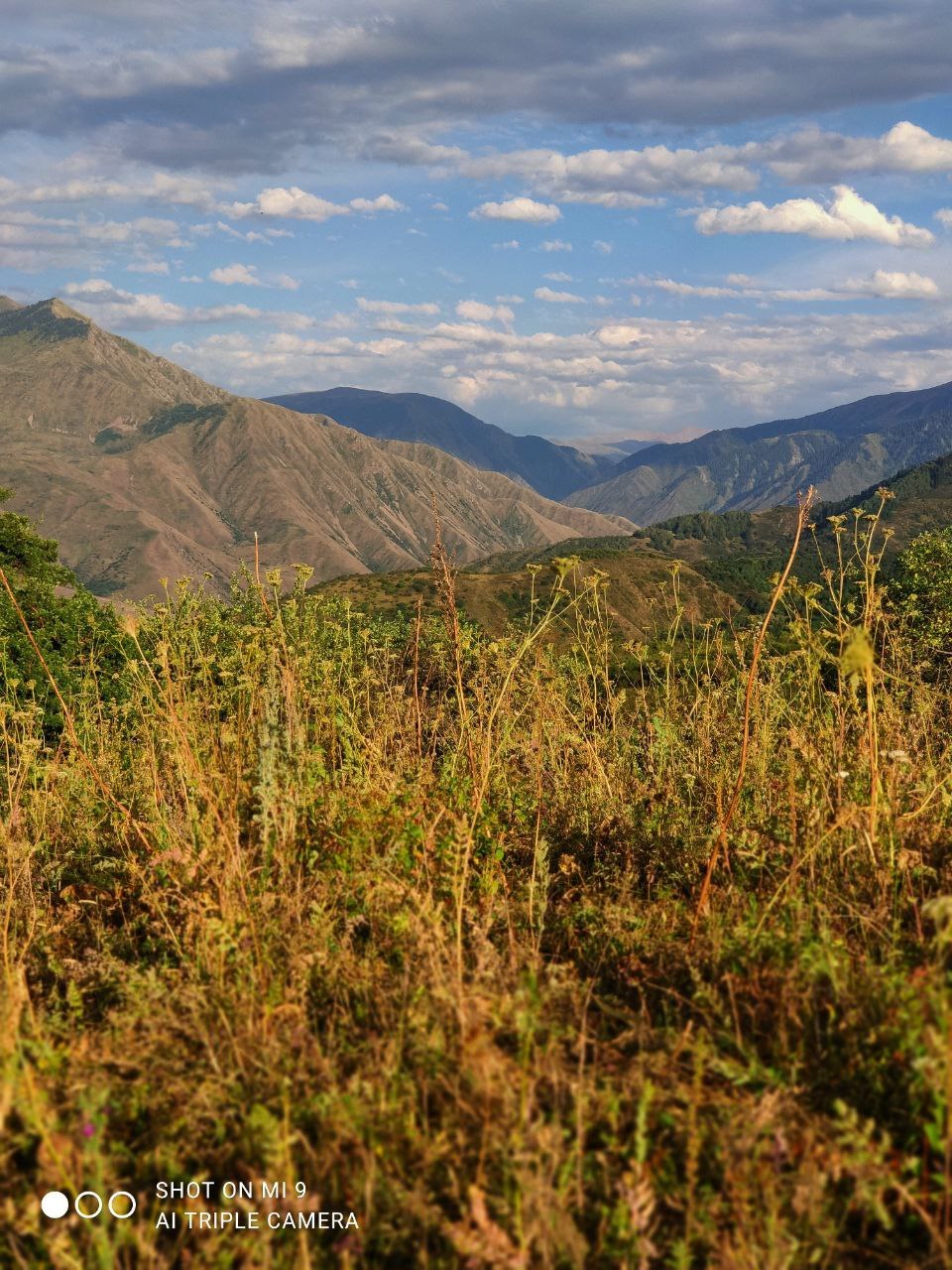 Mountains - My, Almaty mountains, Turgen, beauty of nature, Kazakhstan, Nature, Longpost