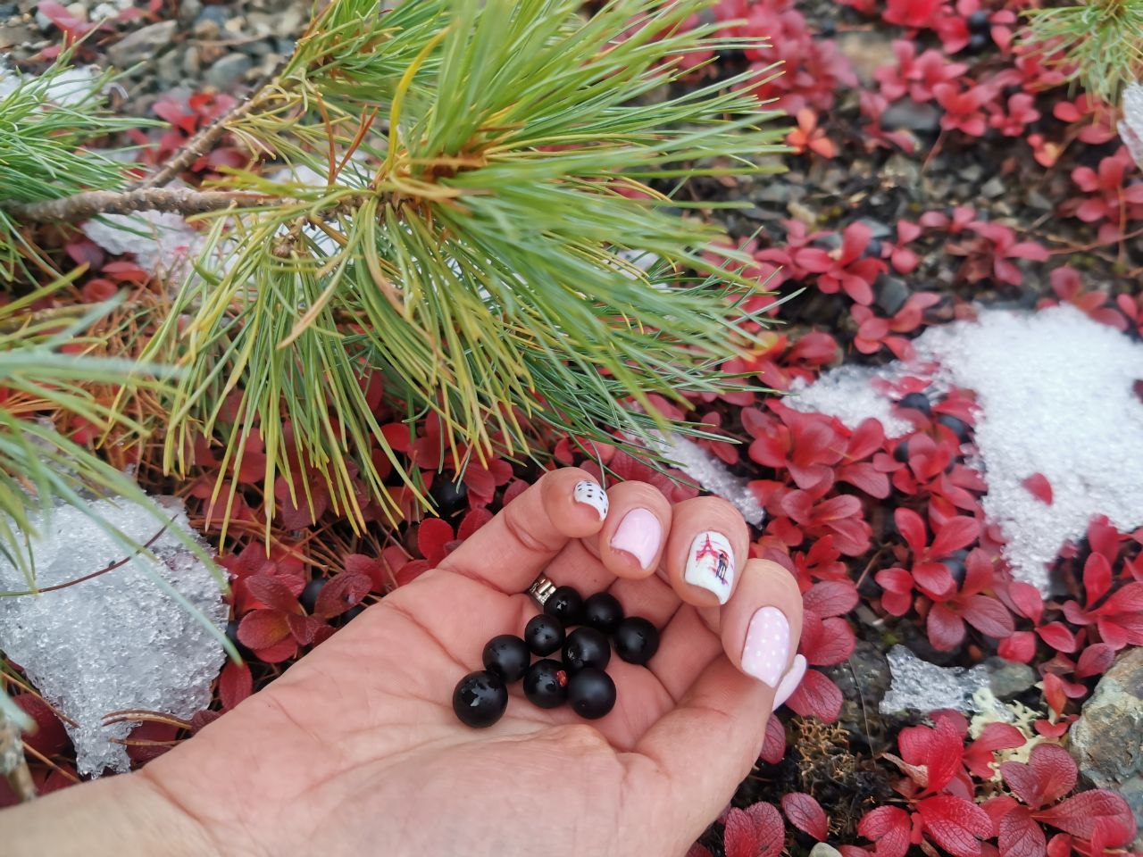 Biologists to the rescue. Determining the name of the plant - My, Plants, Дальний Восток, Botany