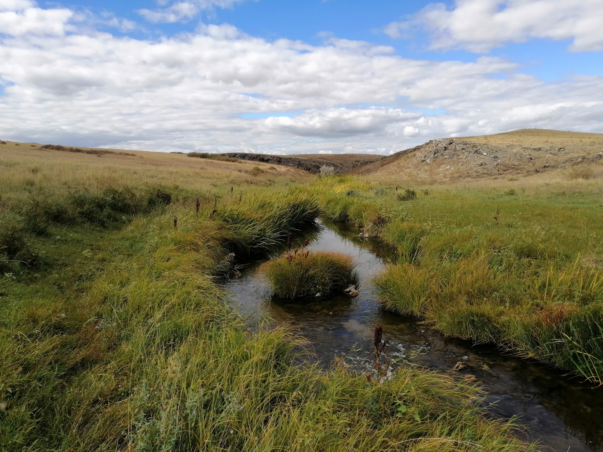 A little harsh steppe - My, Photo on sneaker, Steppe, Nature, Kazakhstan, Longpost