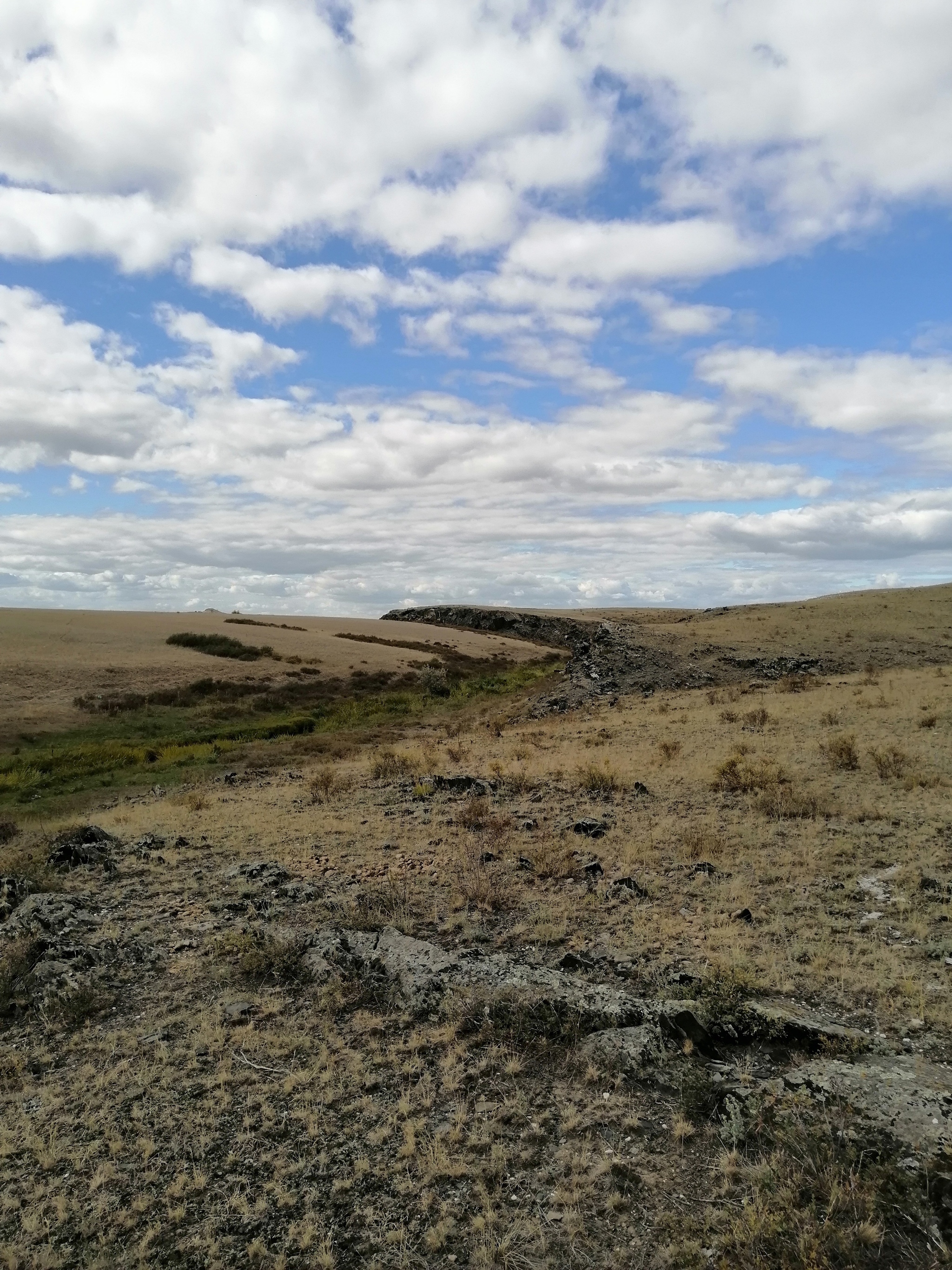 A little harsh steppe - My, Photo on sneaker, Steppe, Nature, Kazakhstan, Longpost