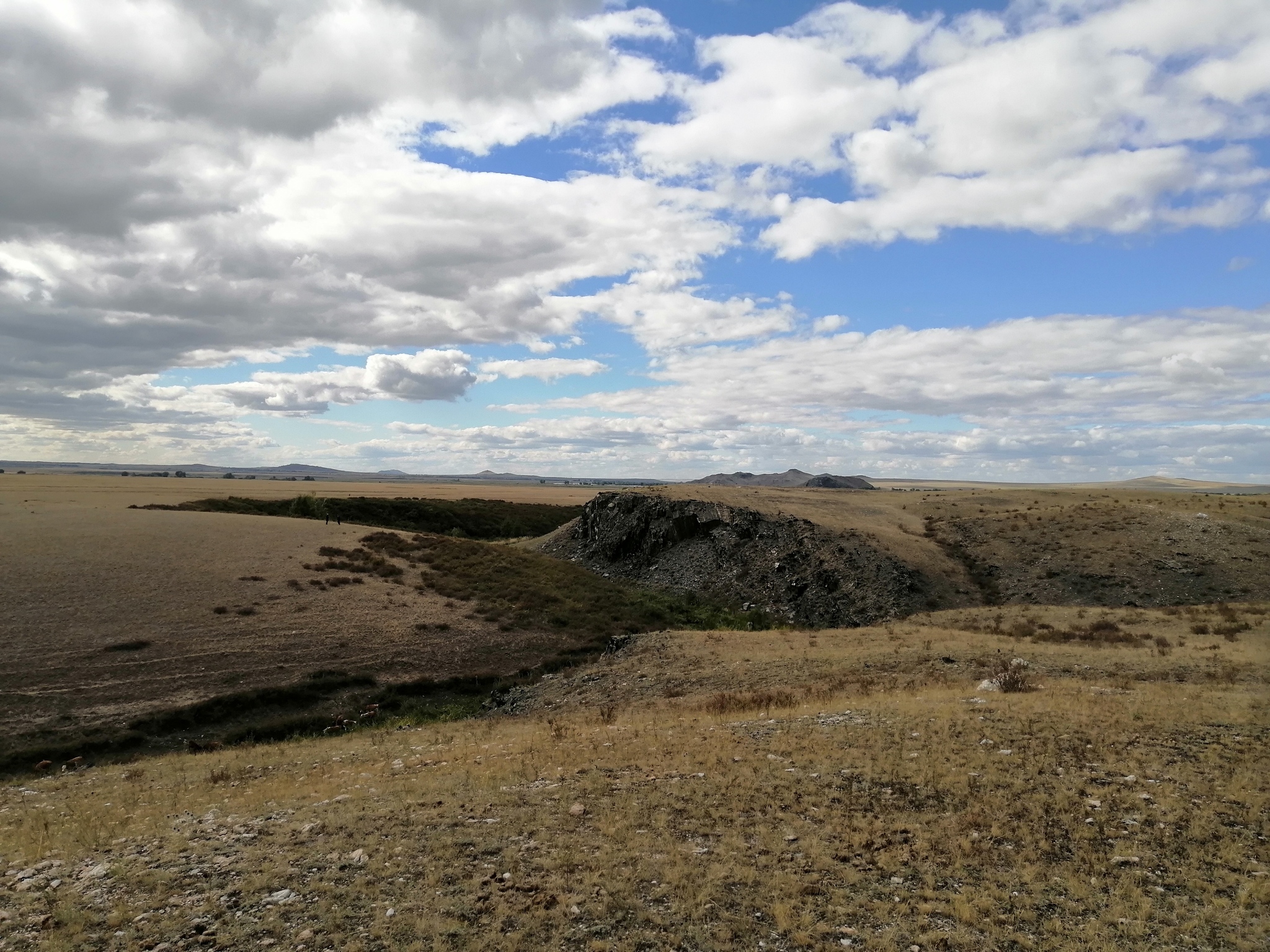 A little harsh steppe - My, Photo on sneaker, Steppe, Nature, Kazakhstan, Longpost