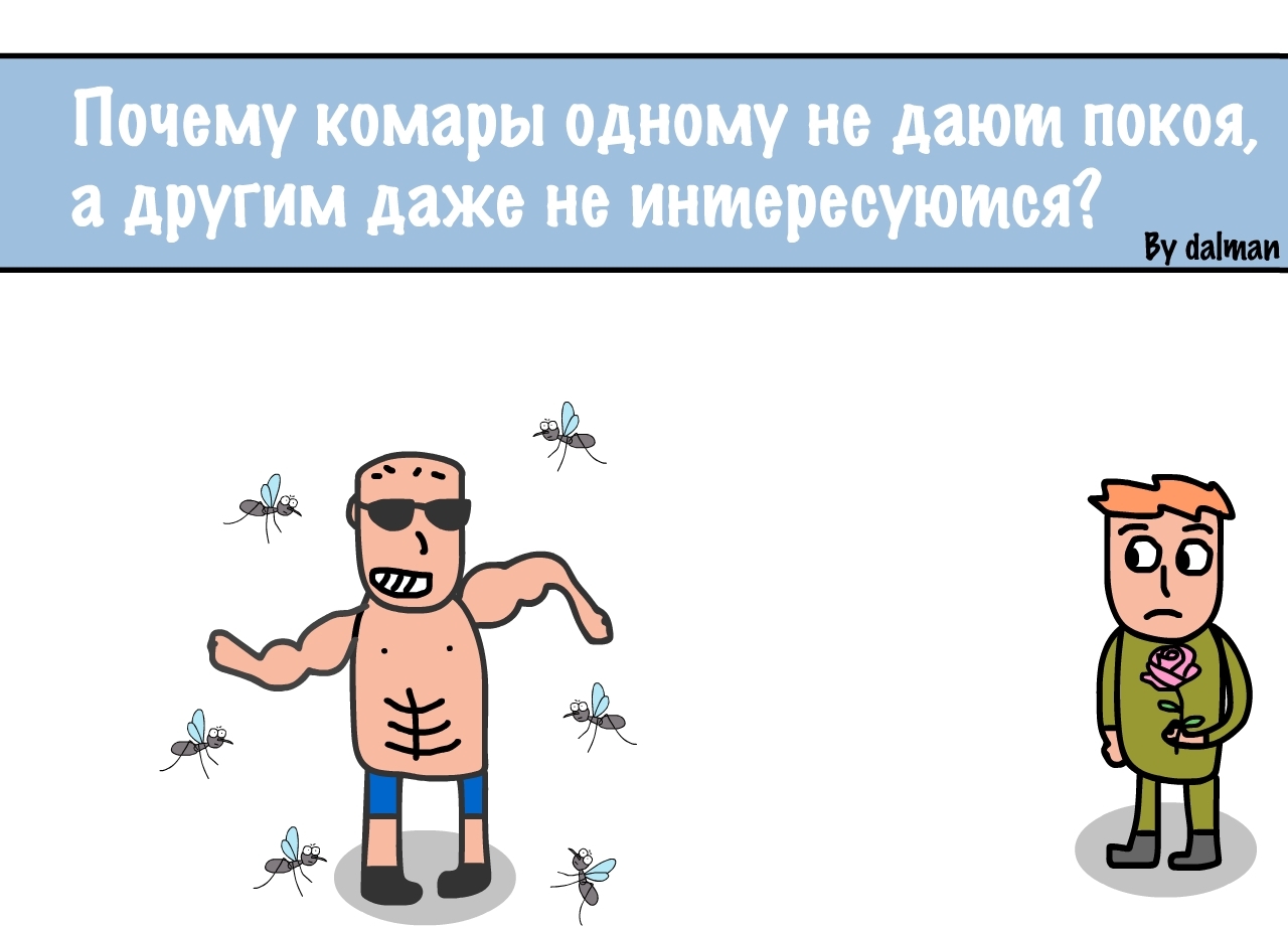 Комары | Пикабу