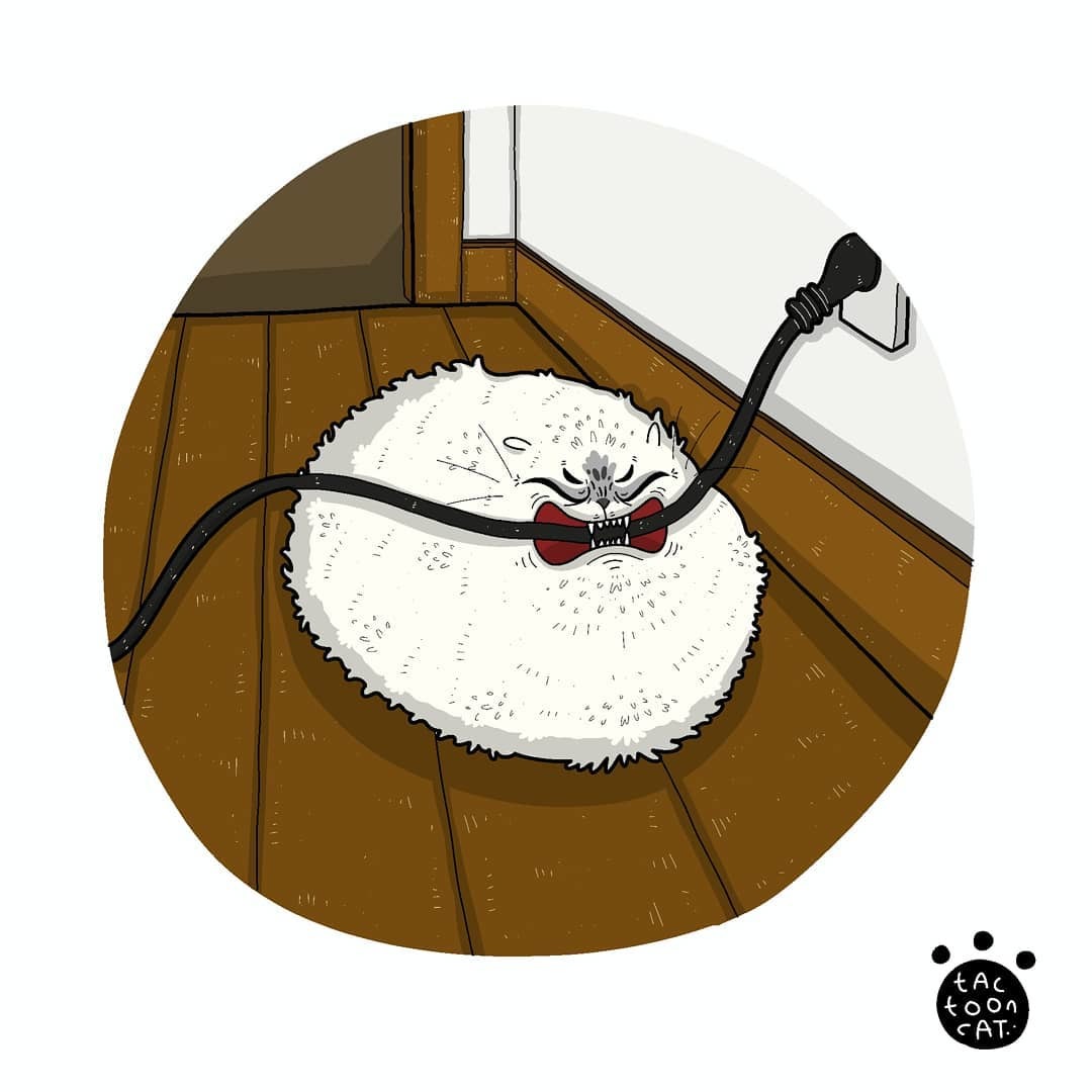 Master! I caught a snake! - cat, Drawing, The wire, Tactooncat