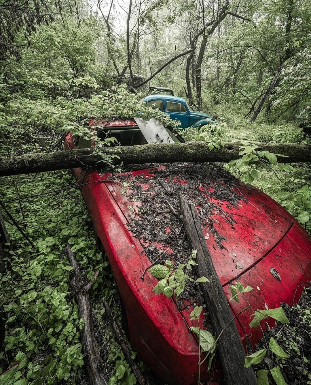 Somewhere near Bryansk - Car, Forest, Scrap metal, Longpost