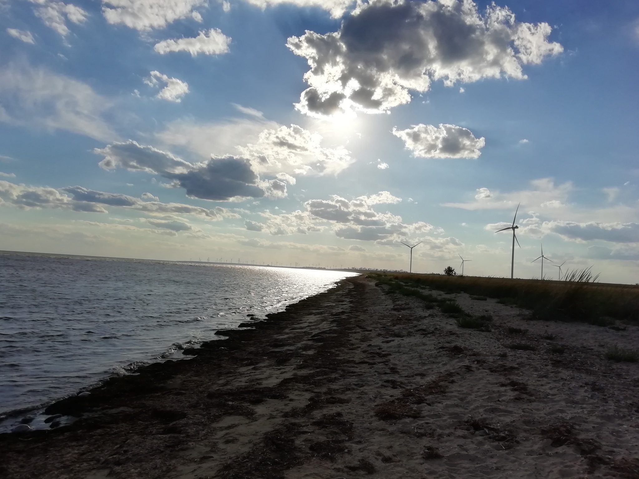 The beauty of the wild beaches of the Azov region - My, Azov sea, Azov, Walk, Longpost, Nature