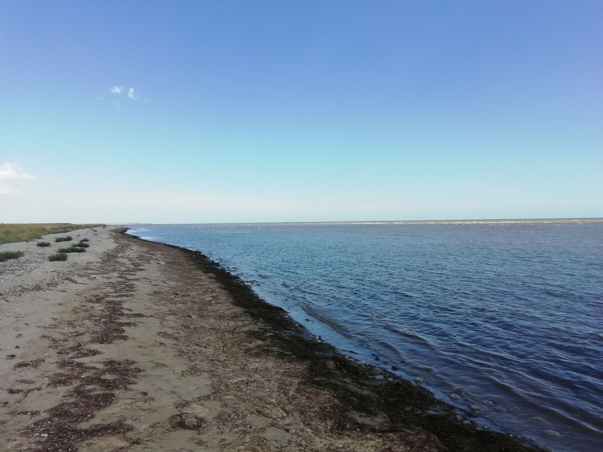 The beauty of the wild beaches of the Azov region - My, Azov sea, Azov, Walk, Longpost, Nature