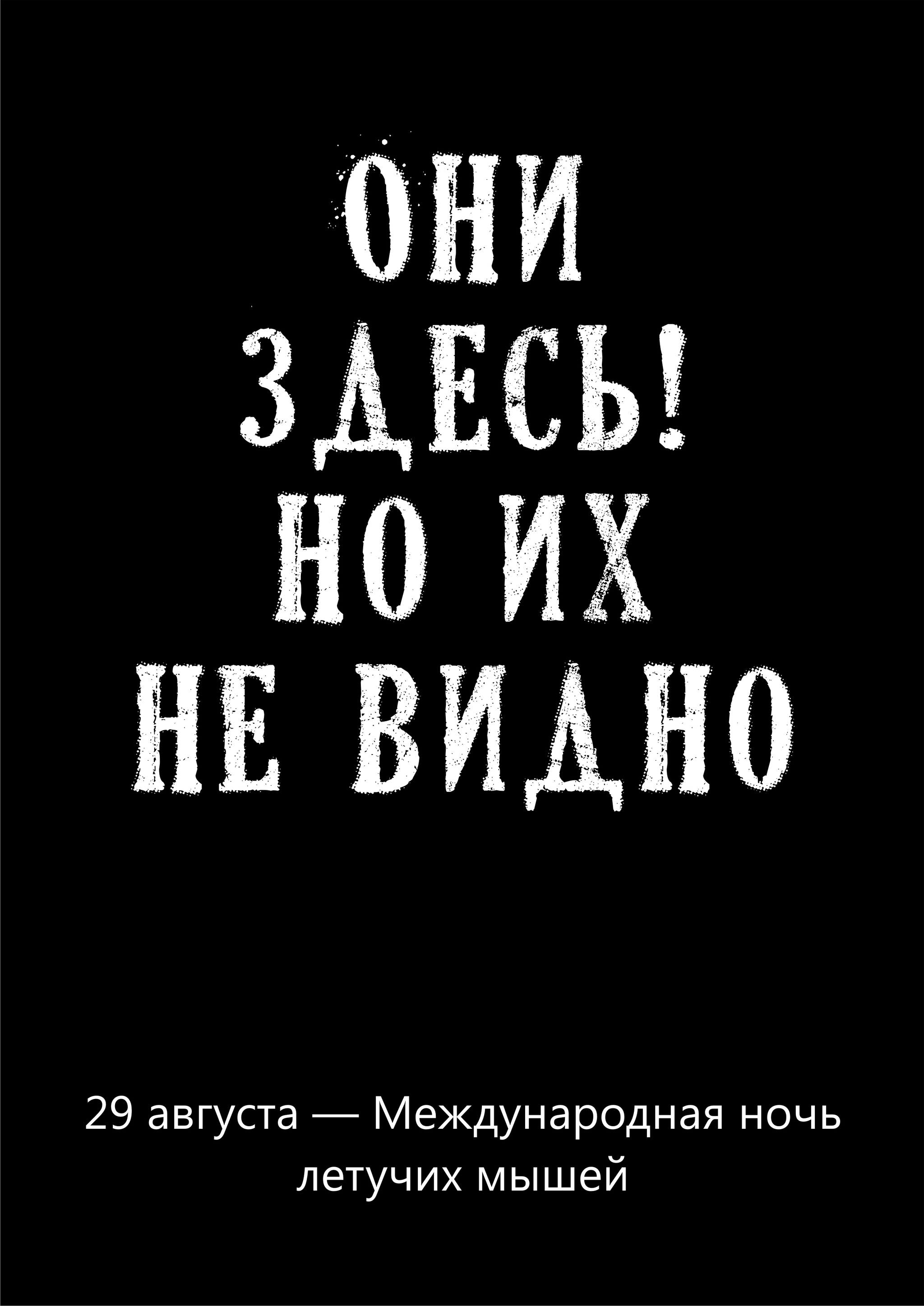 Ночь летучих мышей | Пикабу