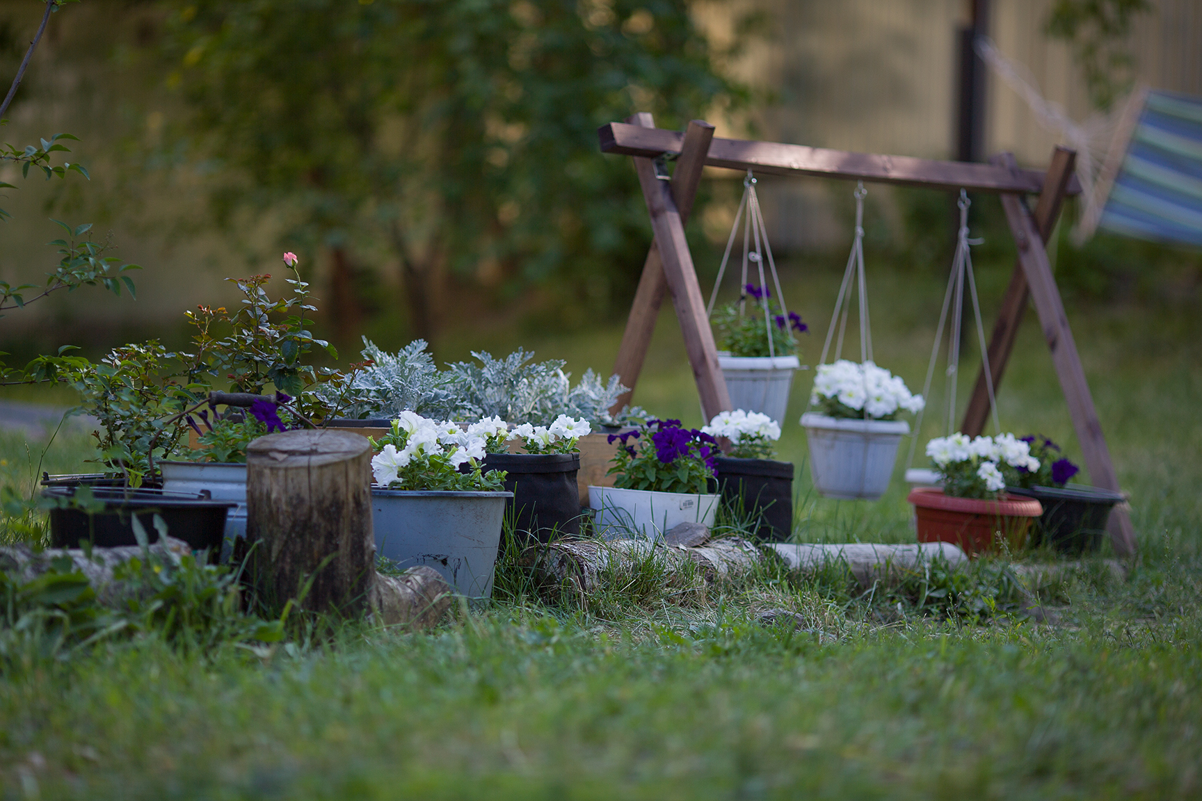 Photo of our yard - My, The photo, Photographer, Photography lessons, Beautification, Urbanism, Housing and communal services, Straight arms, Longpost