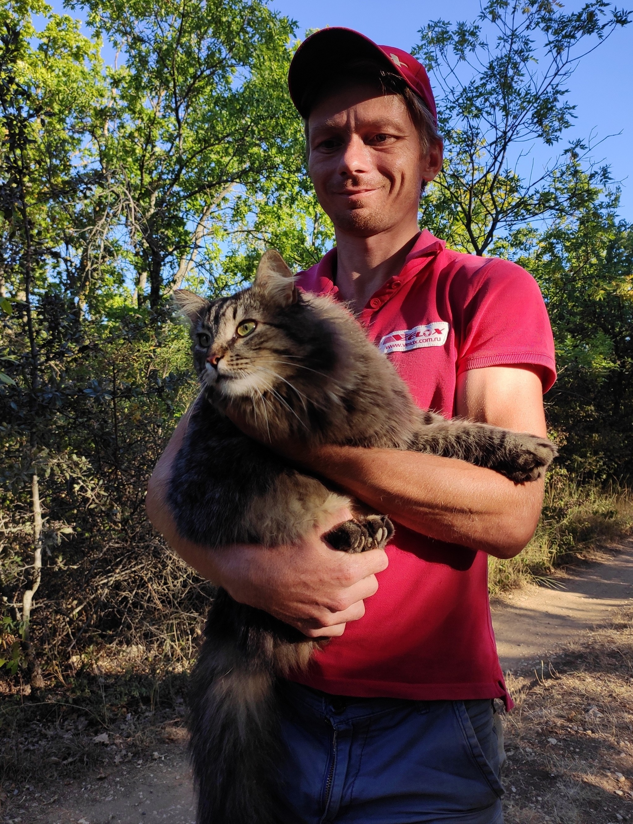 Meeting in the forest - My, cat, Forest, Longpost