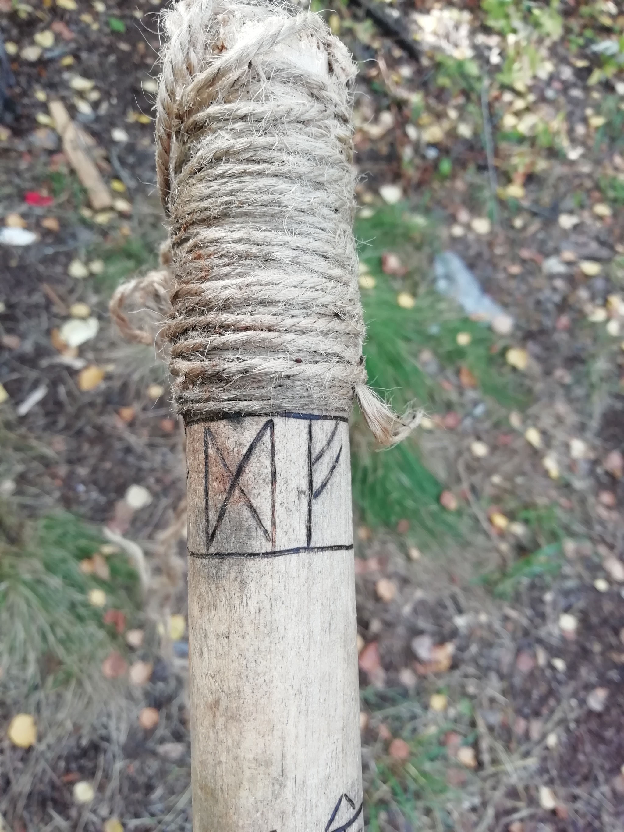 Nakhodka - My, Forest, Runes, Question, Longpost