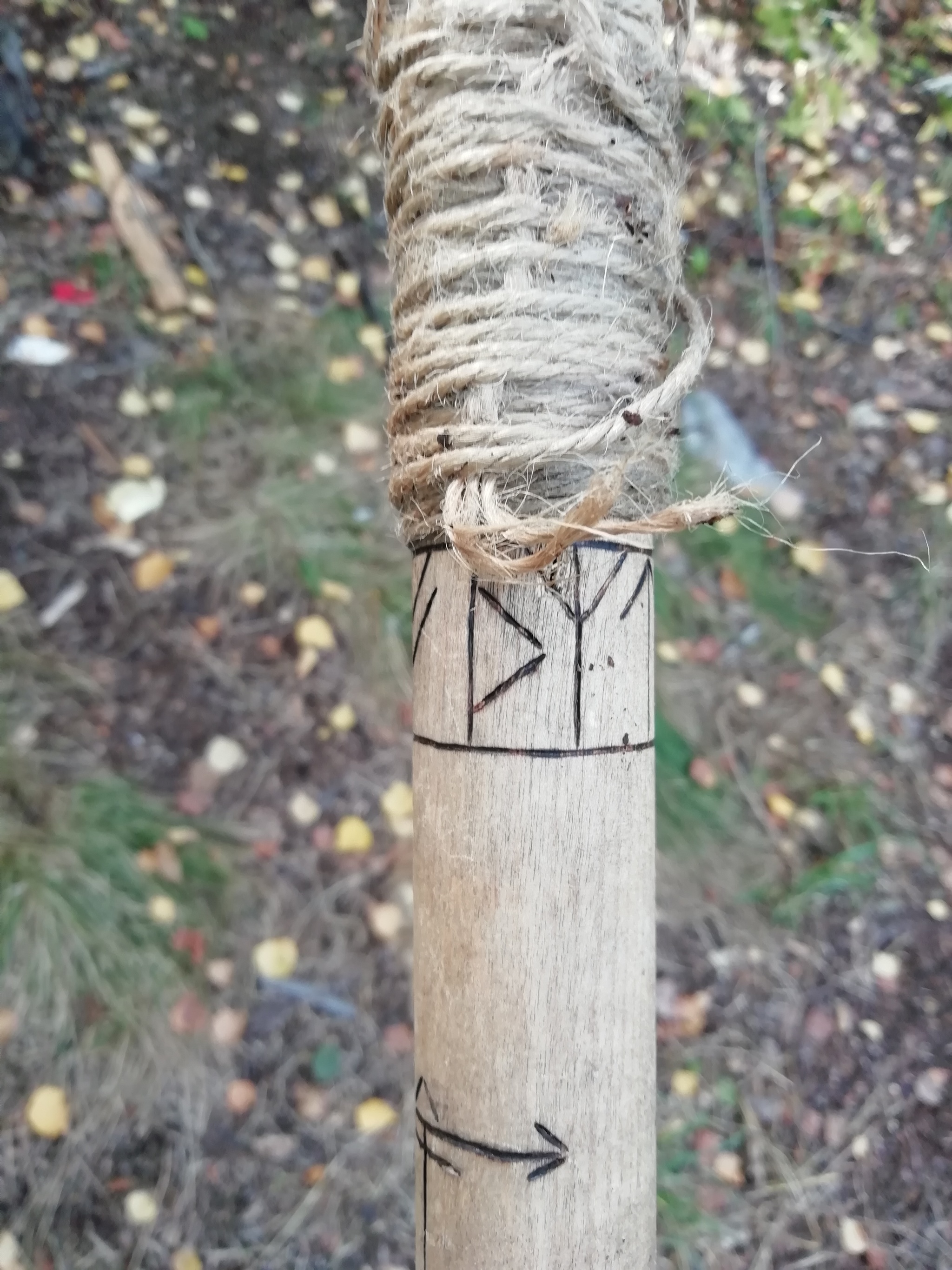 Nakhodka - My, Forest, Runes, Question, Longpost