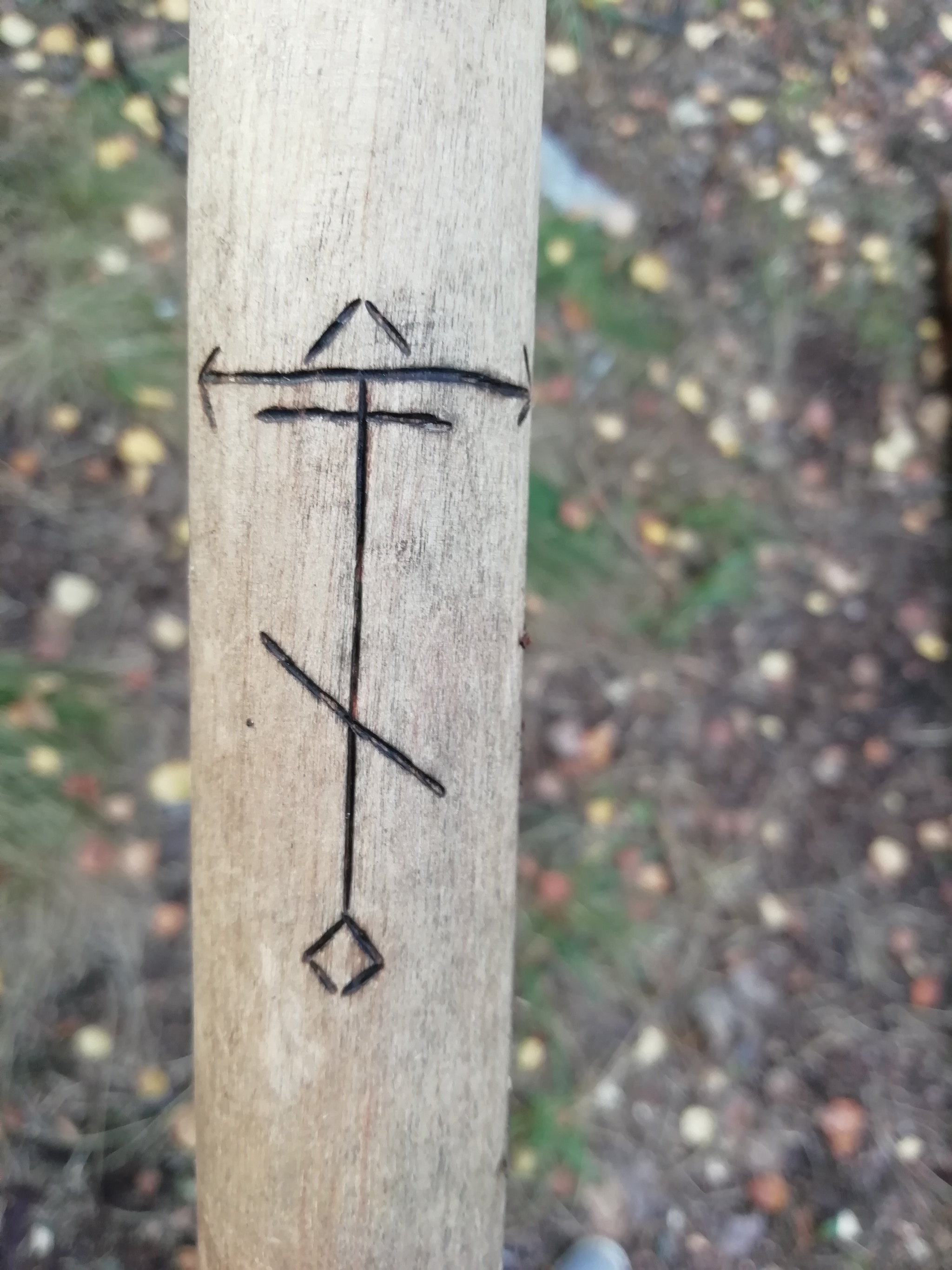 Nakhodka - My, Forest, Runes, Question, Longpost